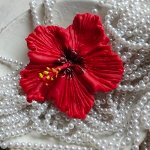 Red Hibiscus Flower