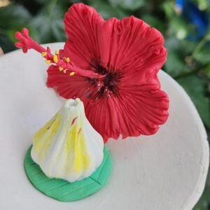 Hibiscus -Modak combo